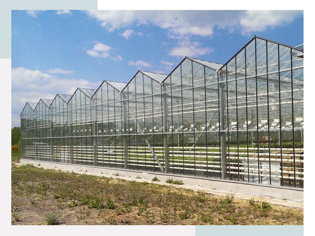 Строительство теплиц в Лобня от 620 руб. за м²