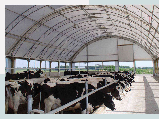 Тентовые коровники в Лобне